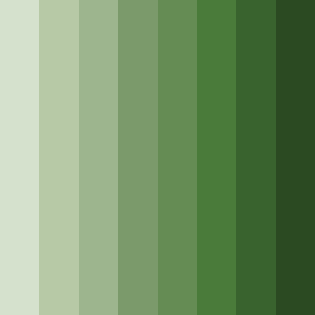 Download tranquil olive haven color palette PNG image (square)