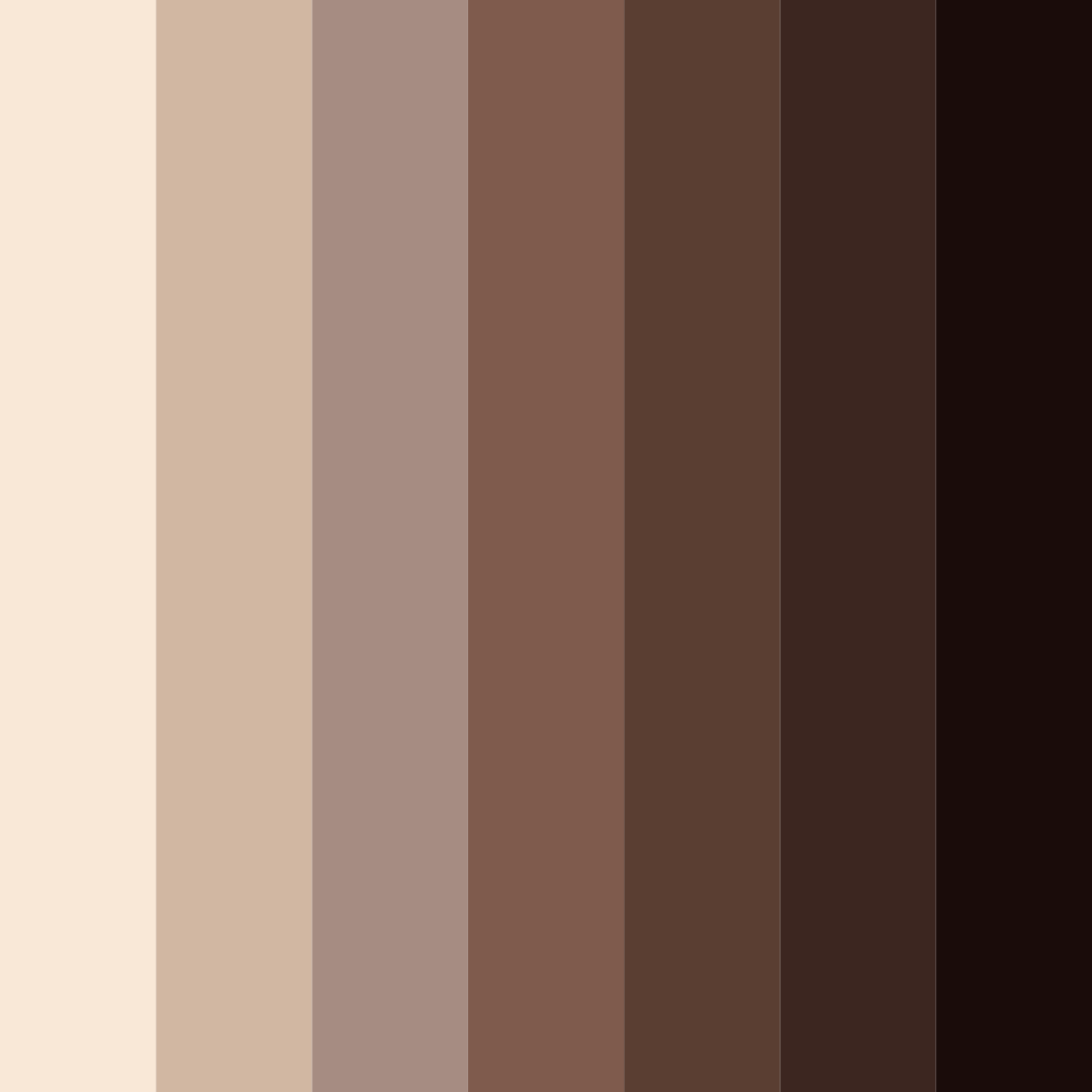 Download brewed elegance color palette PNG image (square)