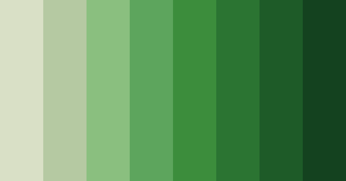 Download evergreen embrace color palette PNG image (landscape)