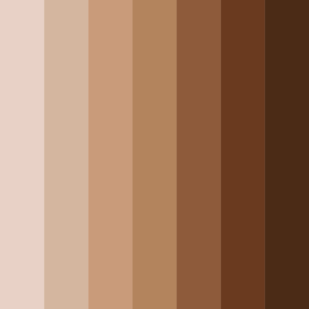 Download nutty elegance color palette PNG image (square)