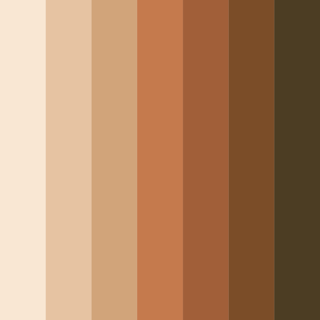 Download campfire delight color palette PNG image (square)