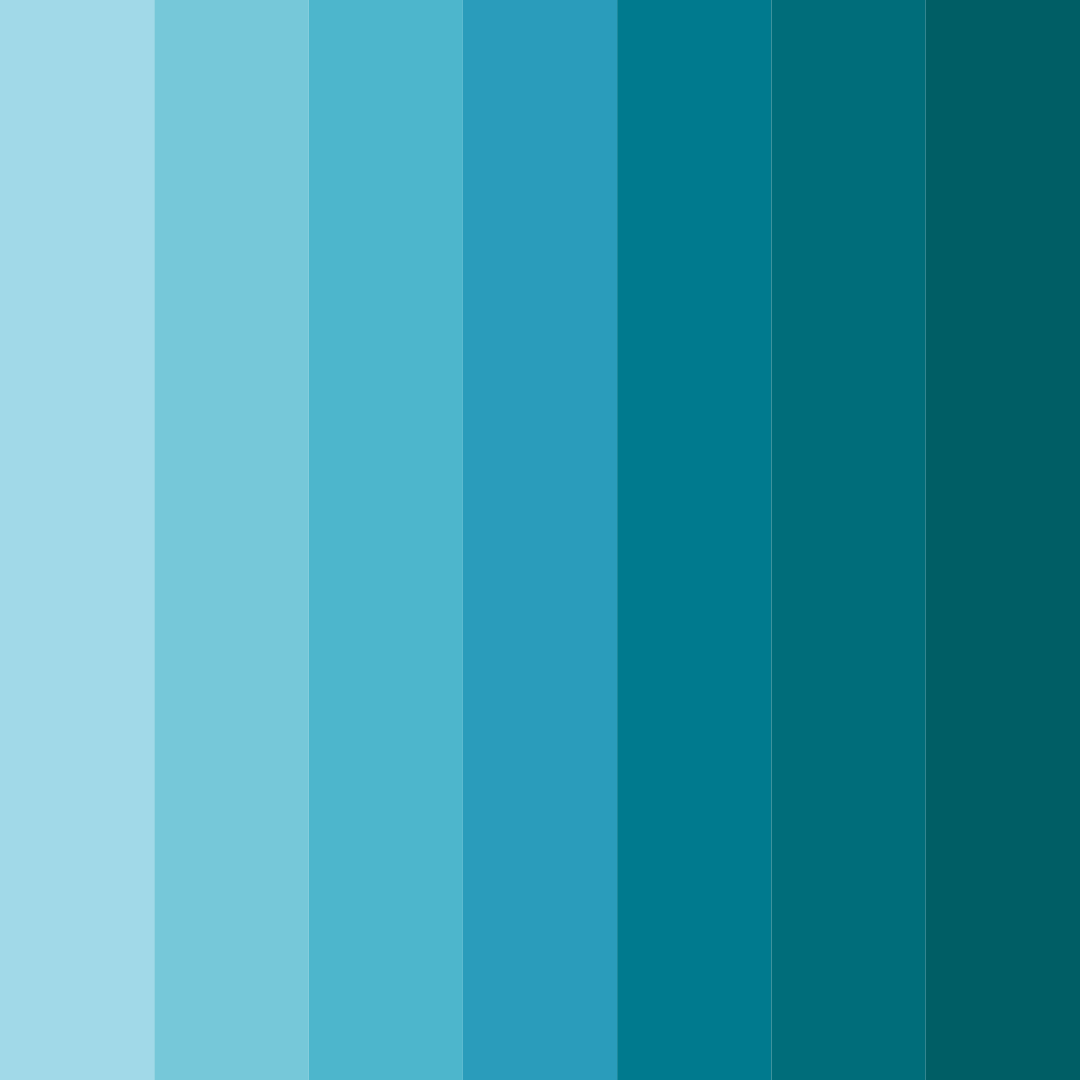 Download tropical hummingbird dreams color palette PNG image (square)