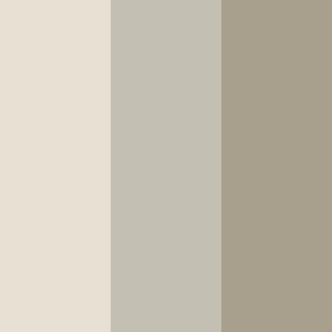 Download whispering earthtones color palette PNG image (square)