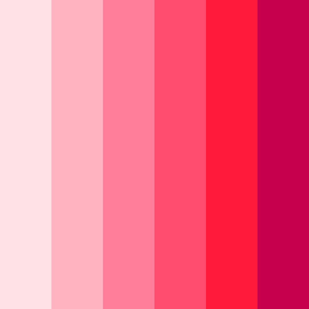 Download miami sunset blossom color palette PNG image (square)