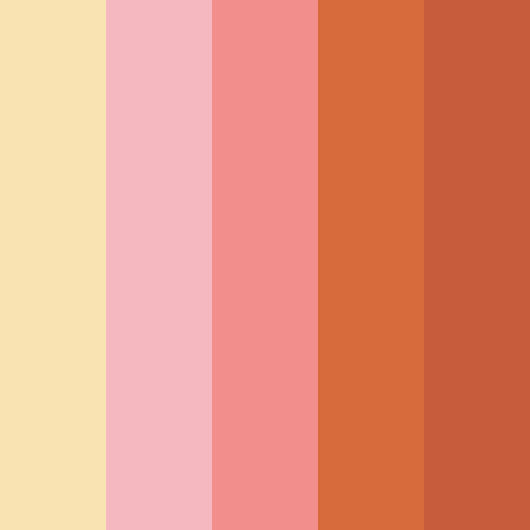 Download warm coral color palette PNG image (square)