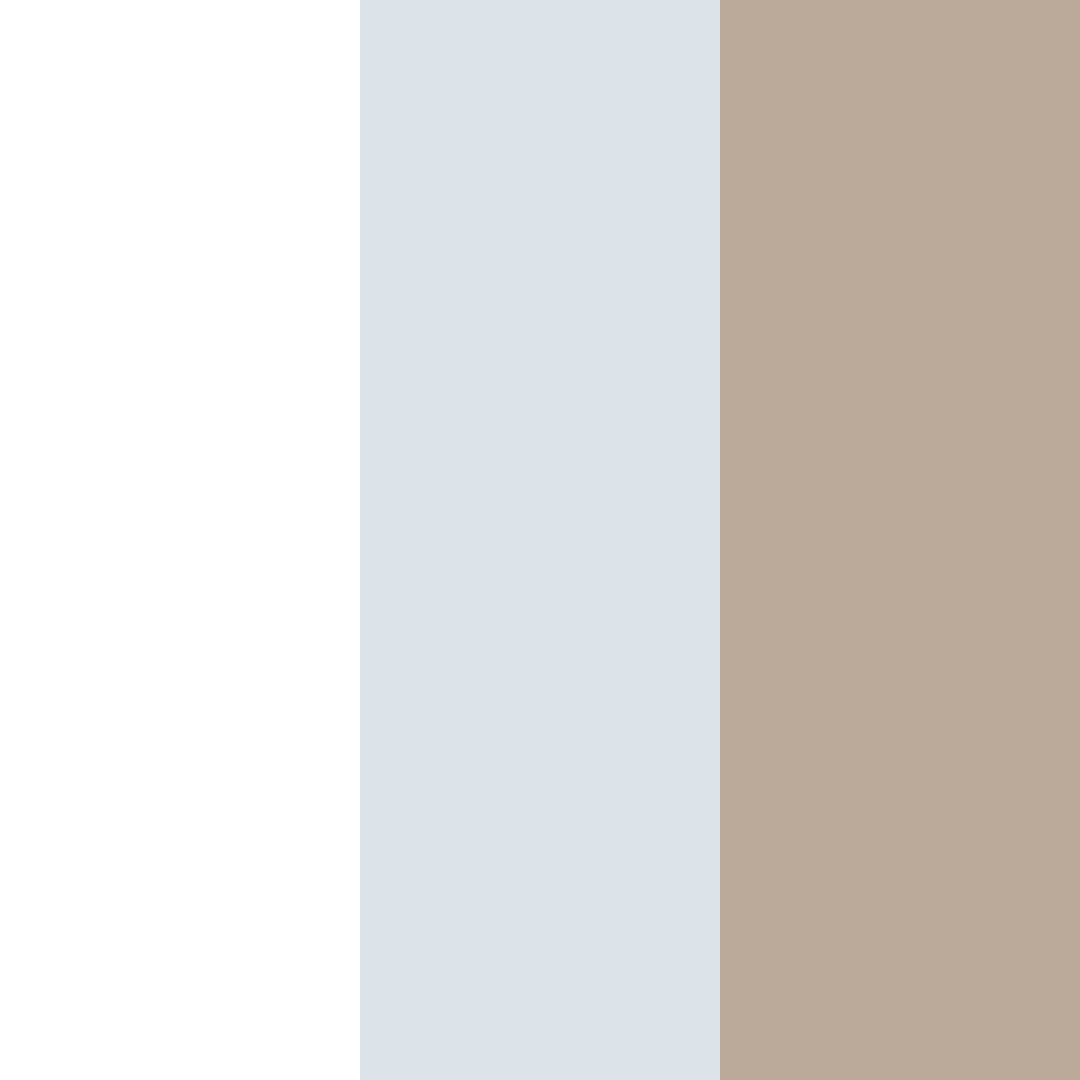 Download whispering serenity color palette PNG image (square)