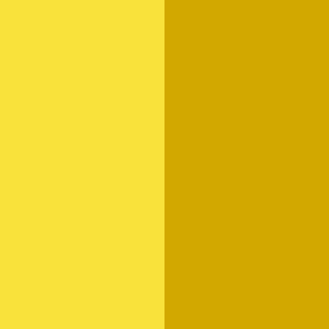 Download yellow harmony color palette PNG image (square)