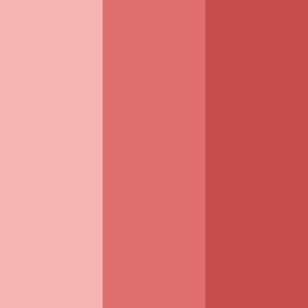 Download fresh red color palette PNG image (square)
