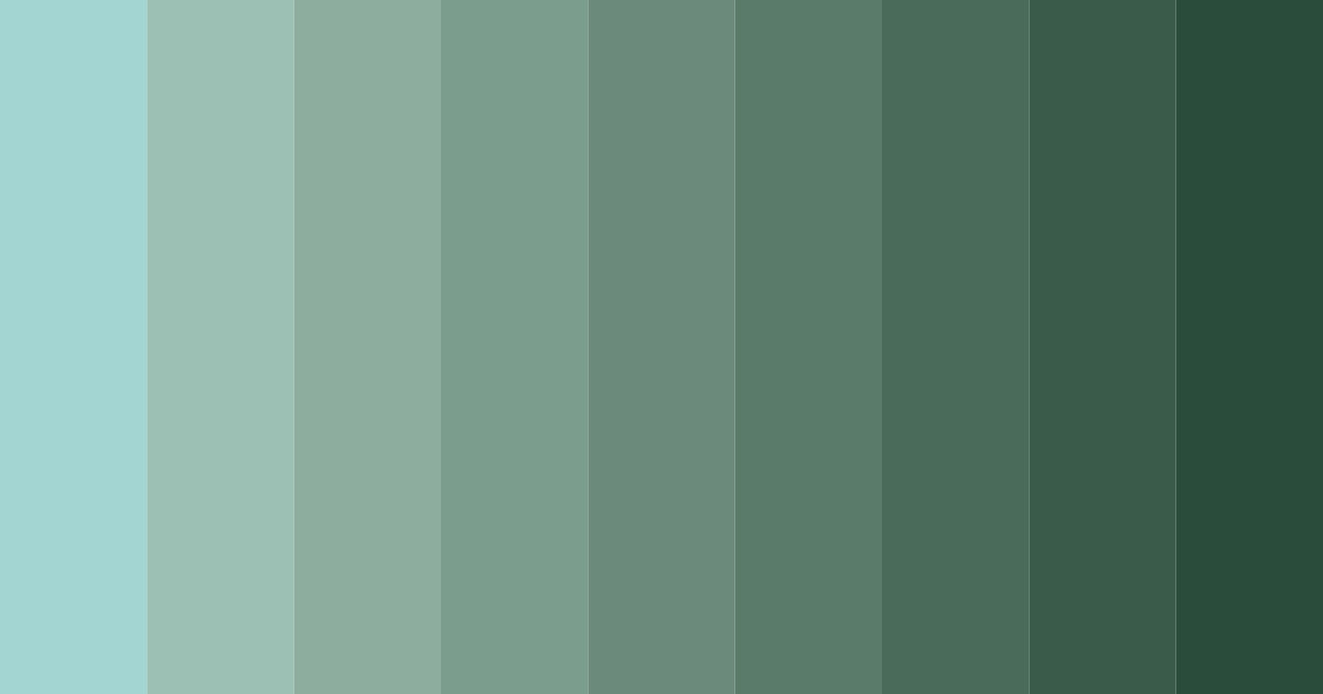 Download serene forest whisper color palette PNG image (landscape)
