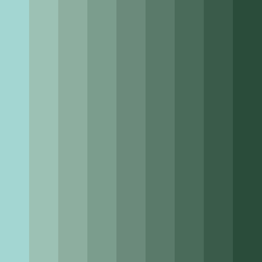 Download serene forest whisper color palette PNG image (square)