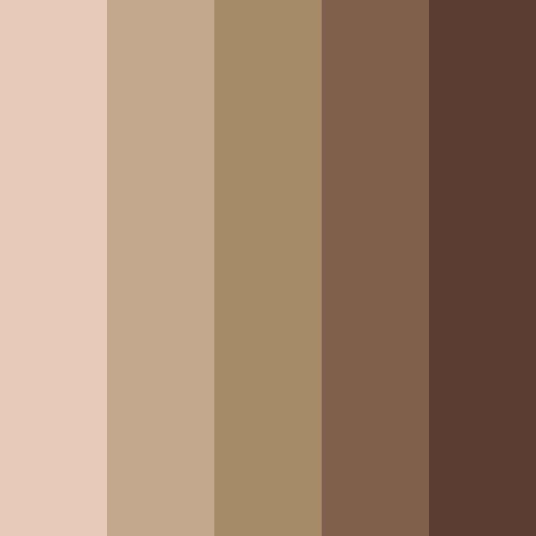 Download brown shades color palette PNG image (square)