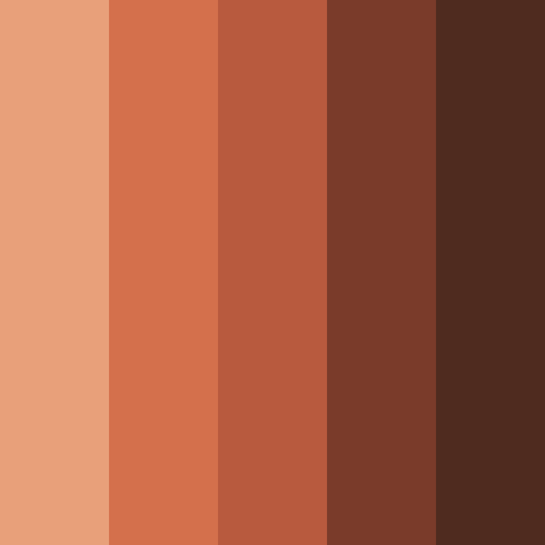 Download terracotta ember color palette PNG image (square)