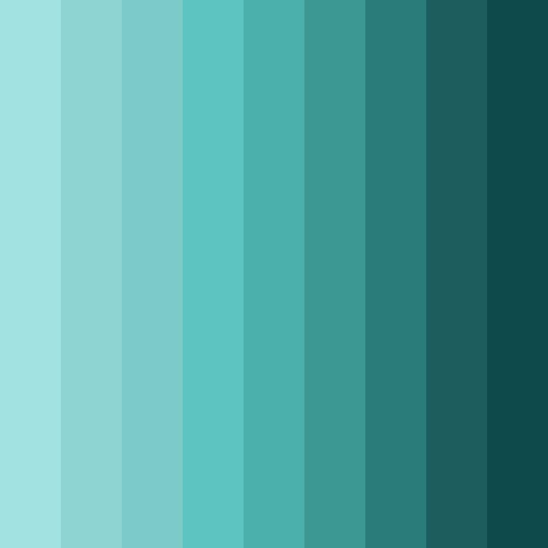 Download tropical oasis color palette PNG image (square)