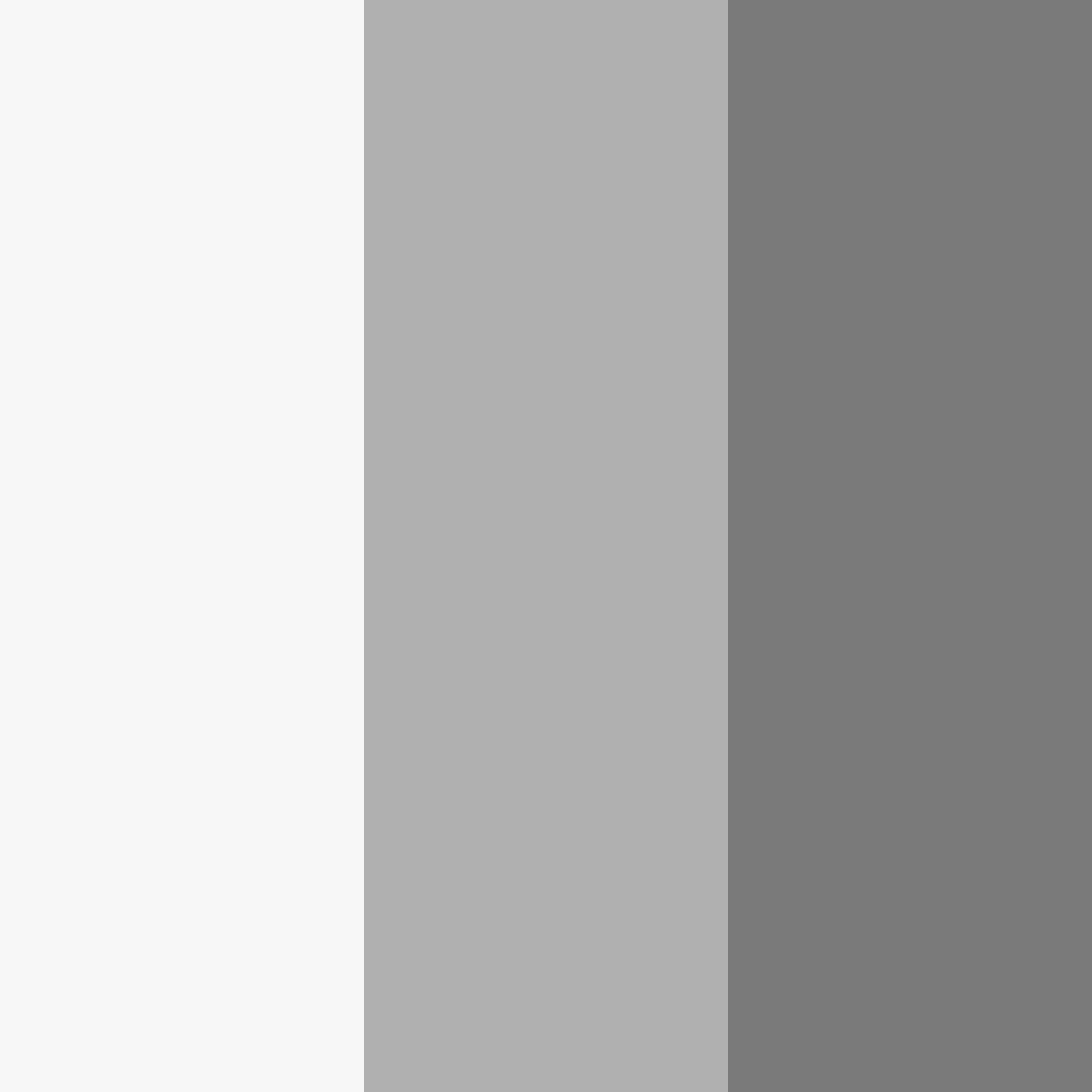 Download shades of grey color palette PNG image (square)