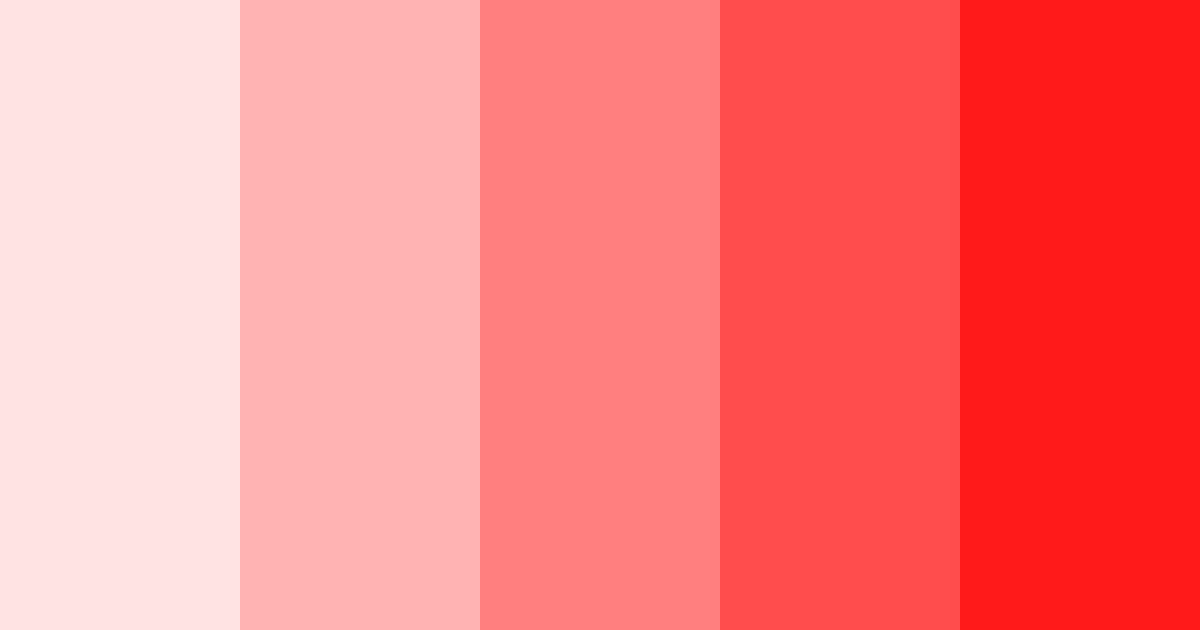 Download flamingo fervor color palette PNG image (landscape)