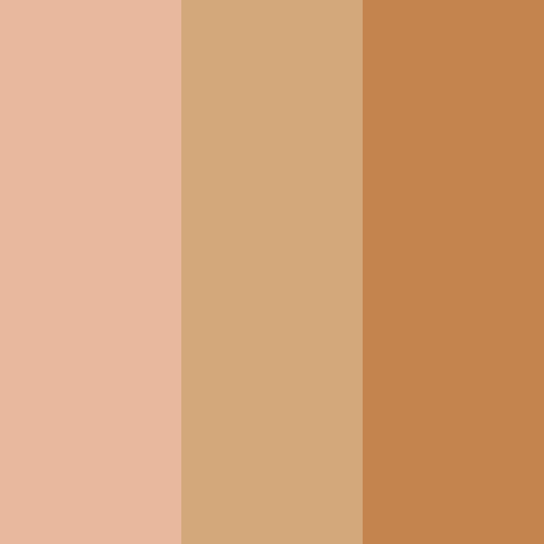 Download warm copper color palette PNG image (square)