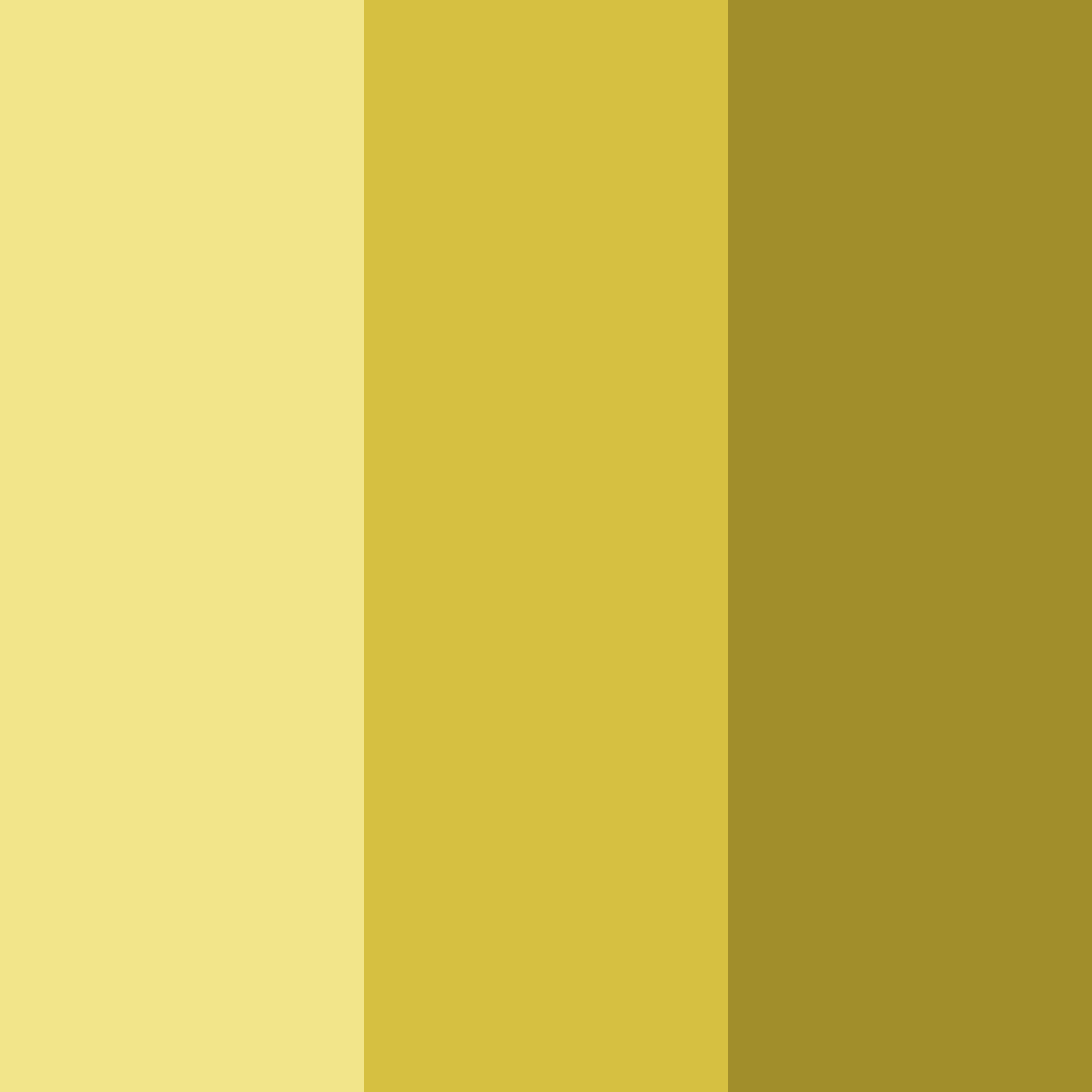 Download sunlit meadow color palette PNG image (square)