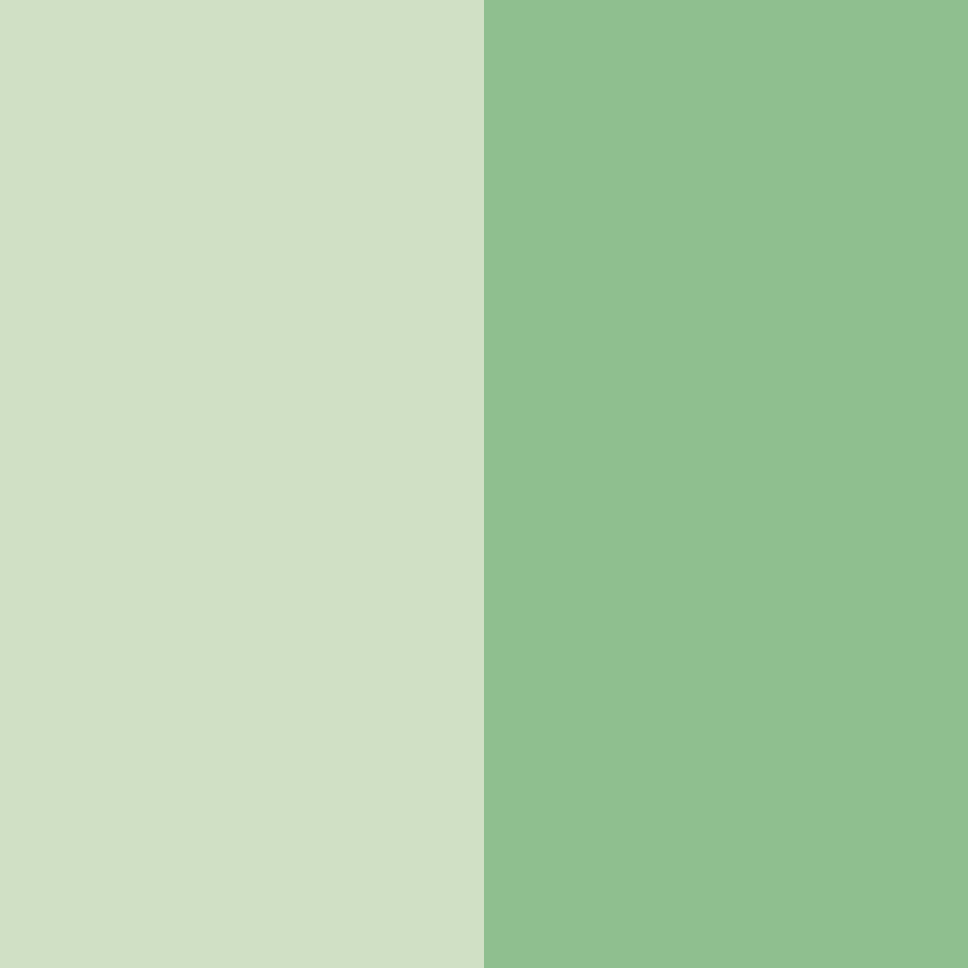 Download serene meadow color palette PNG image (square)