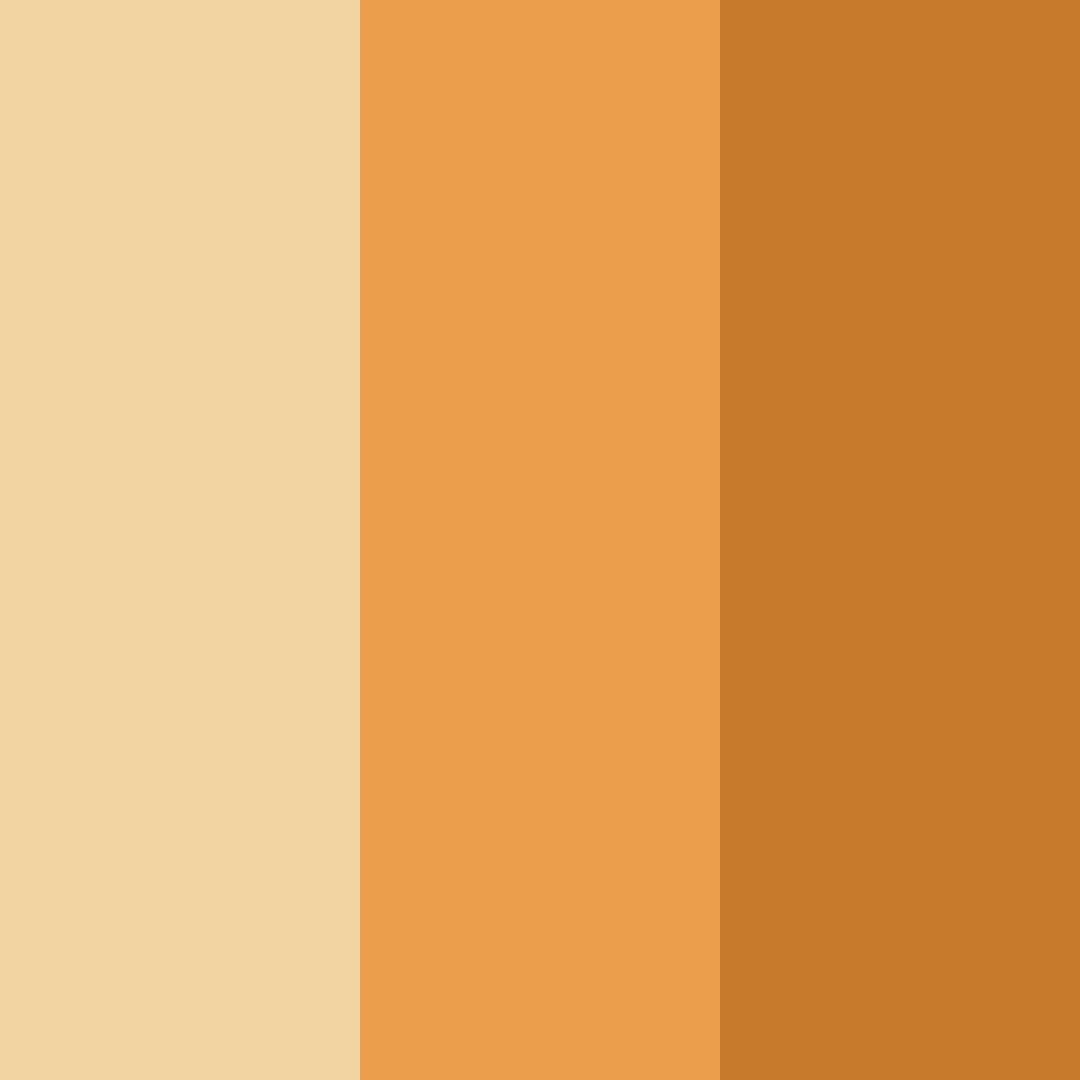 Download sunlit academy color palette PNG image (square)