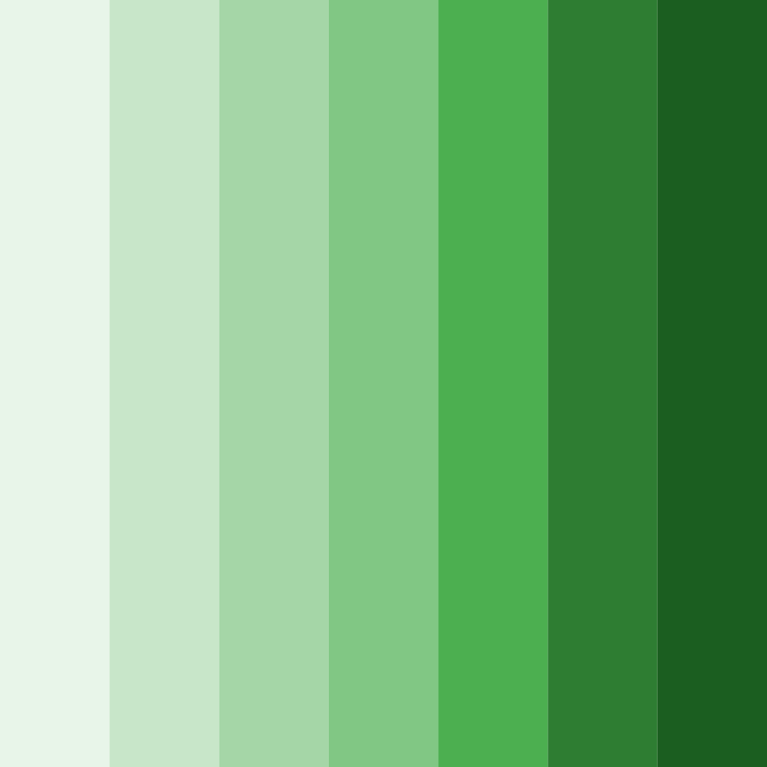 Download deep green elegance color palette PNG image (square)