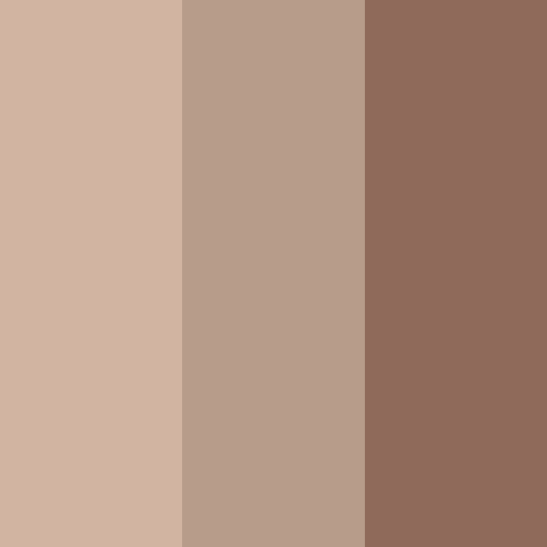 Download brown shades color palette PNG image (square)