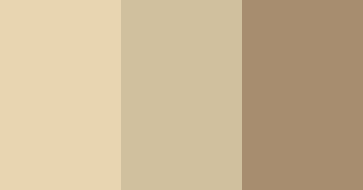 Download earthy beige color palette PNG image (landscape)