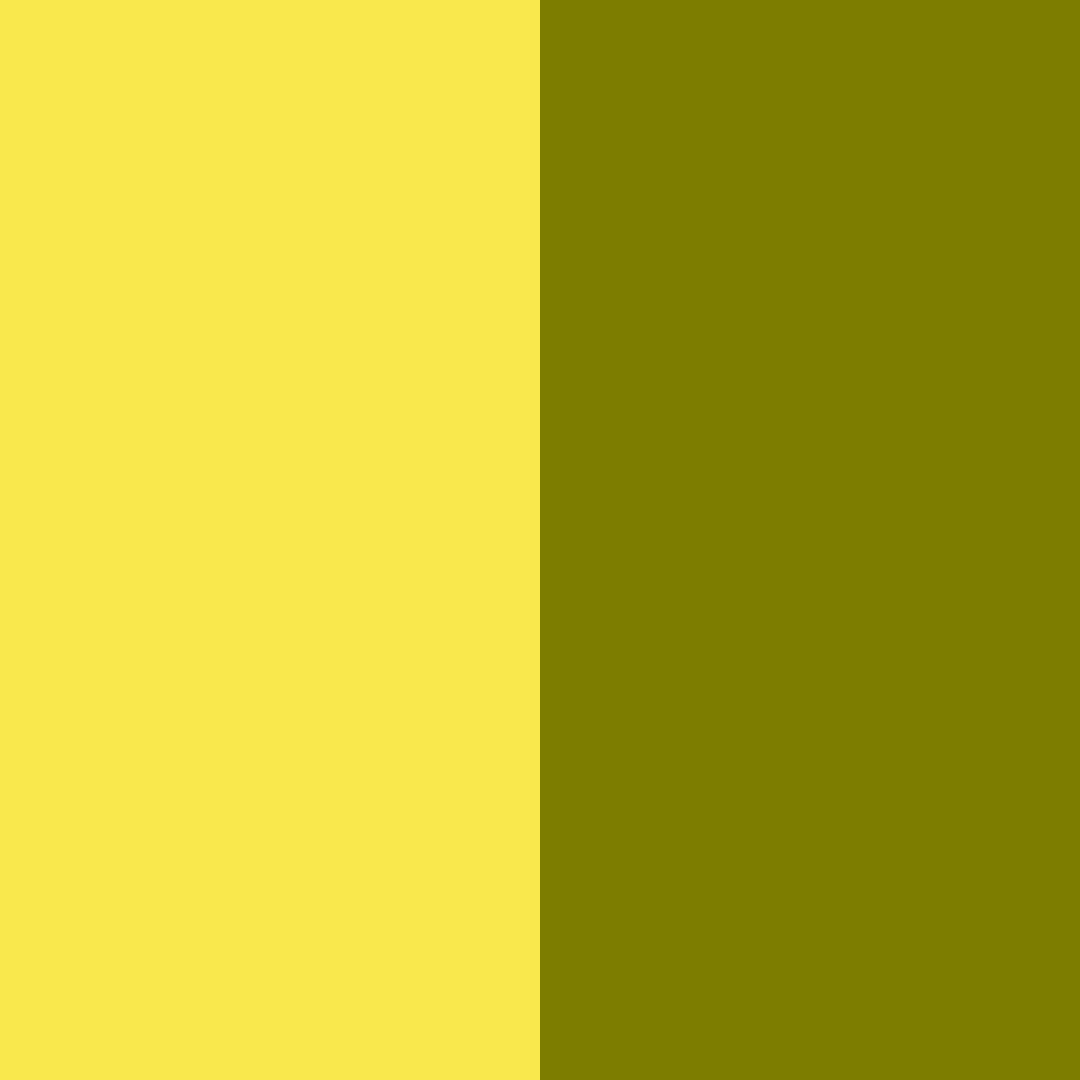Download sunlit shadows color palette PNG image (square)