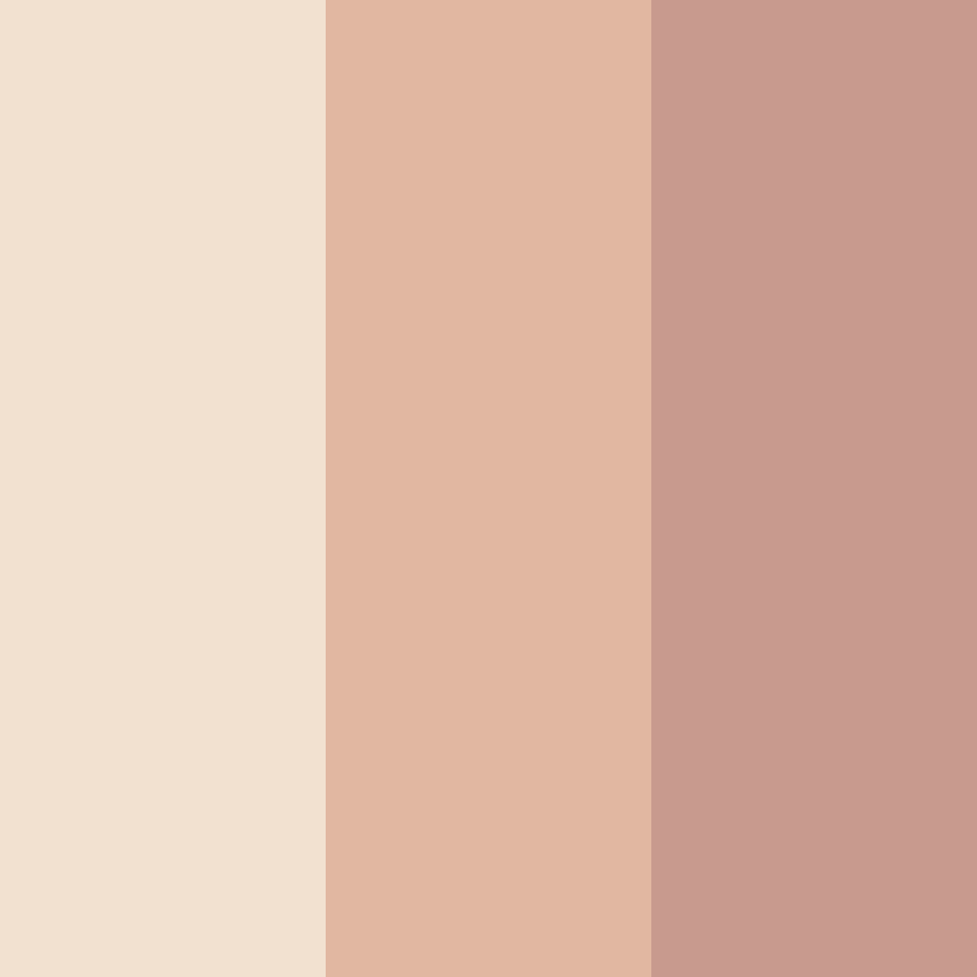 Download soft mushroom color palette PNG image (square)