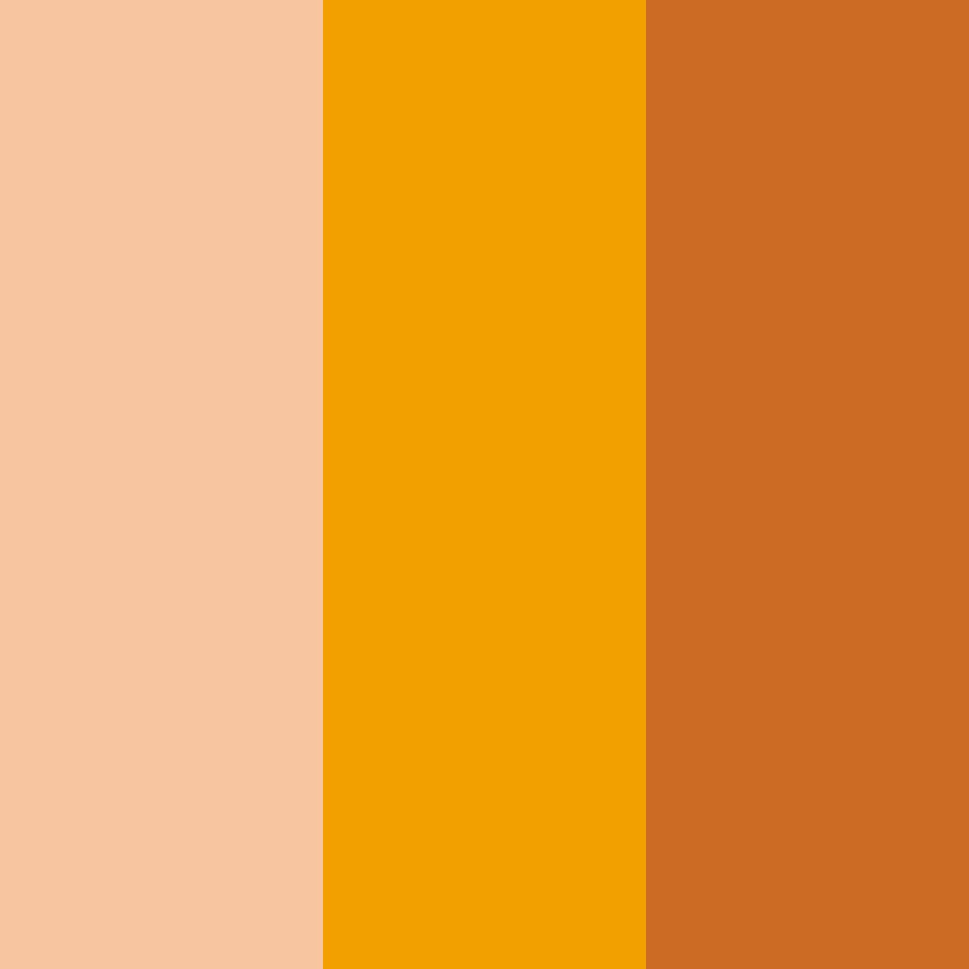 Download amber harvest color palette PNG image (square)