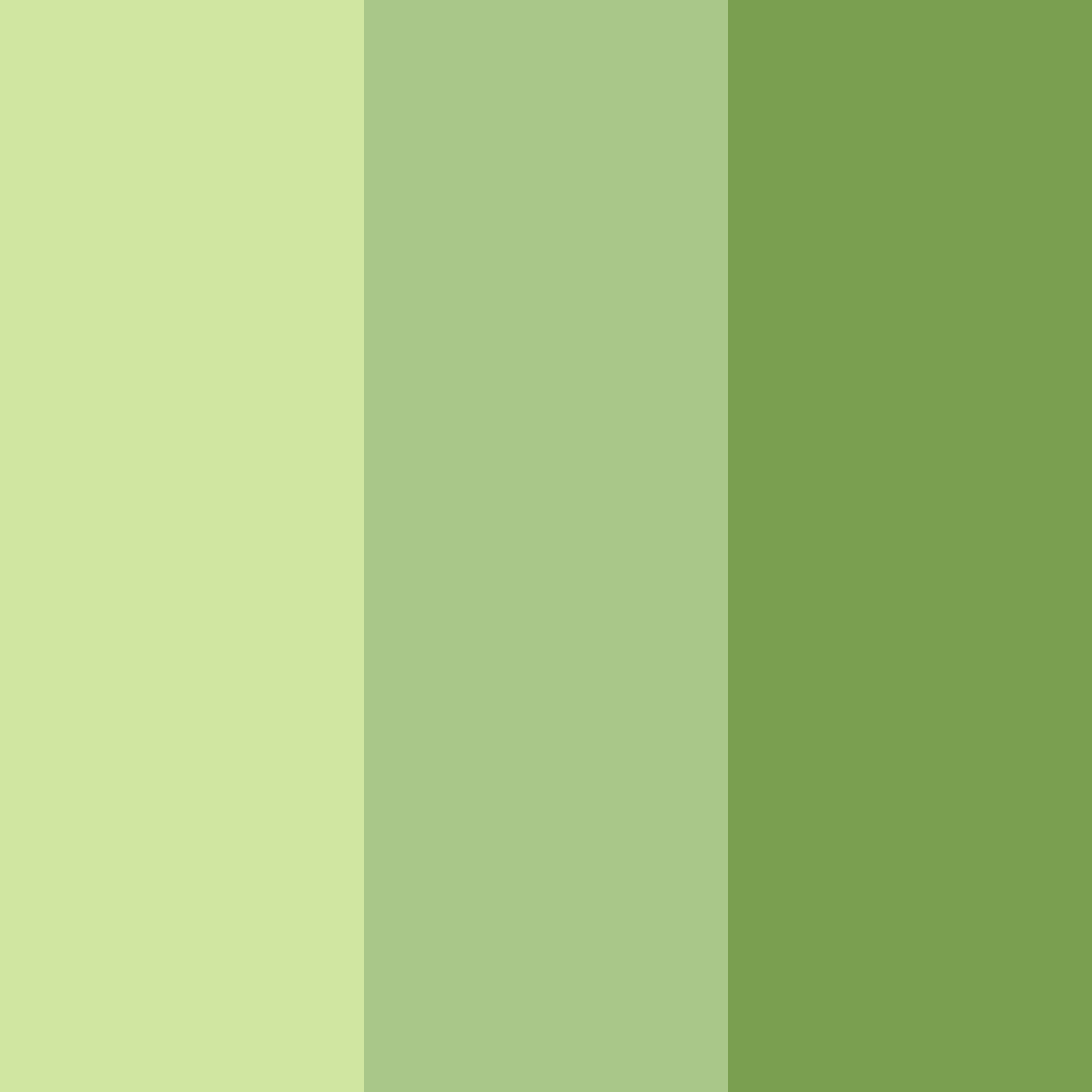 Download meadow whisper color palette PNG image (square)