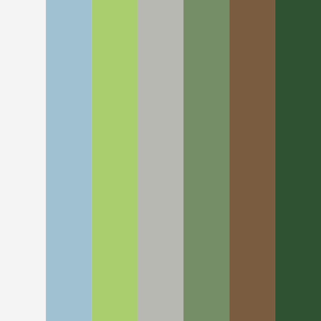 Download forest serenity color palette PNG image (square)