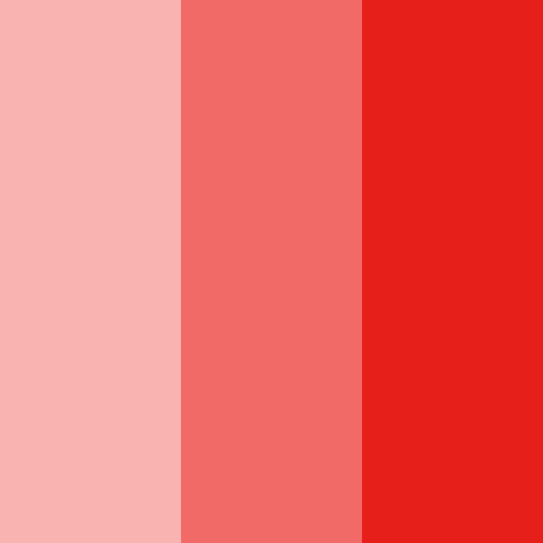 Download crimson serenade color palette PNG image (square)