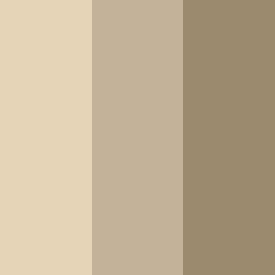 Download sandy serenity color palette PNG image (square)