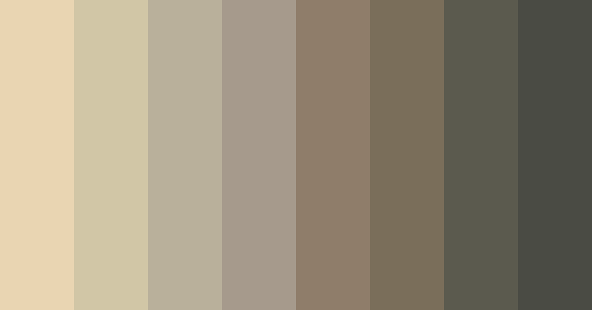 Download earthen elegance color palette PNG image (landscape)