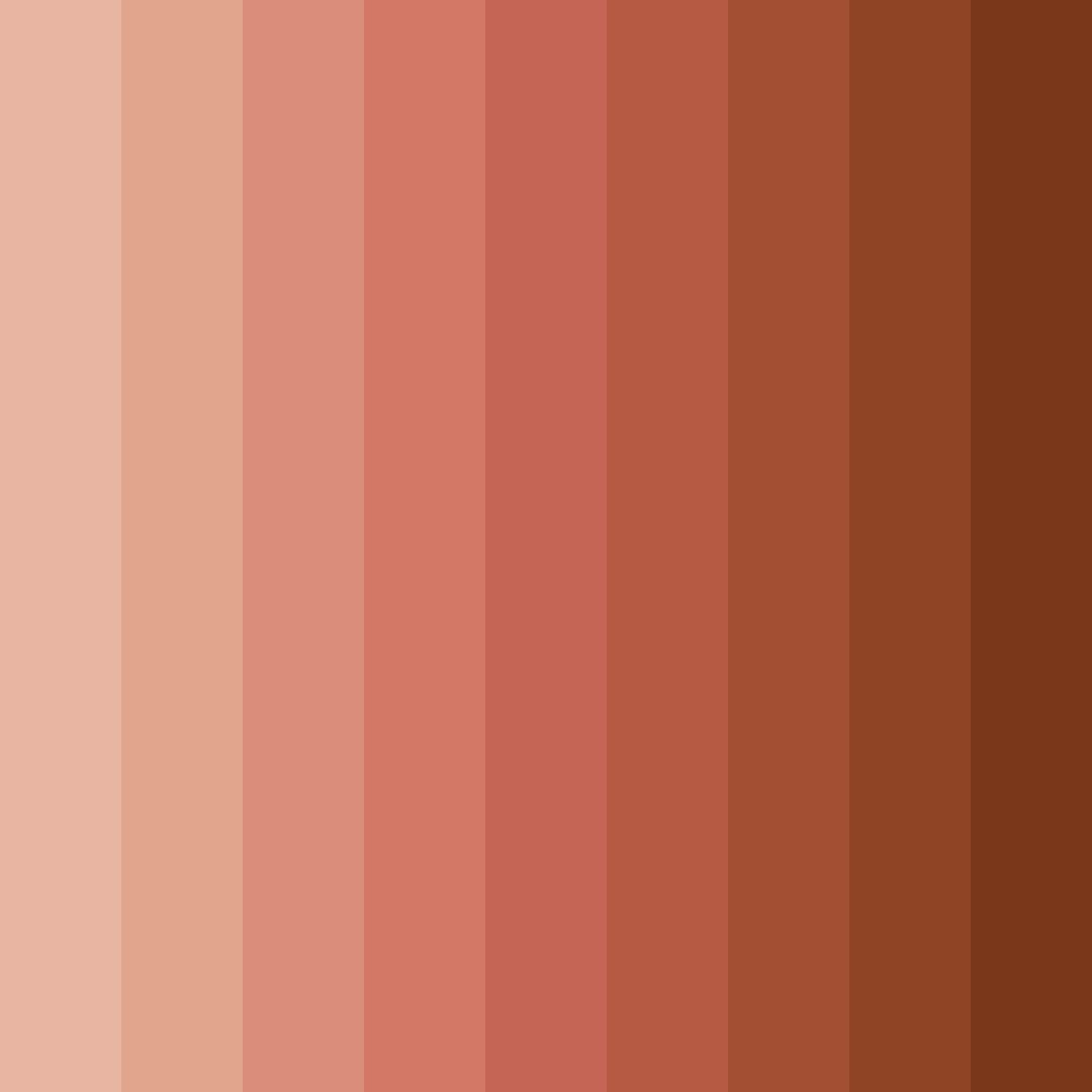 Download warm coral color palette PNG image (square)
