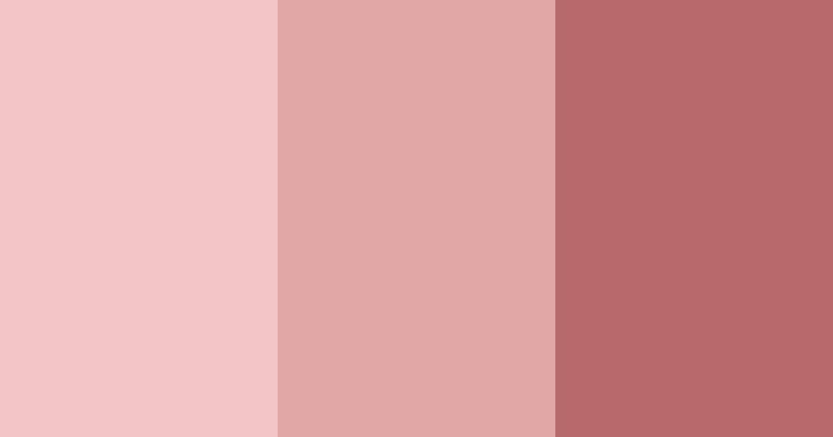 Download rose gold elegance color palette PNG image (landscape)