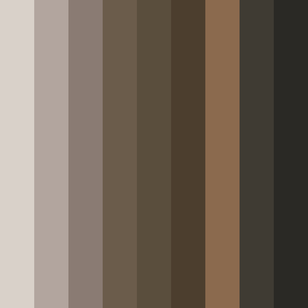 Download stony earthtones color palette PNG image (square)