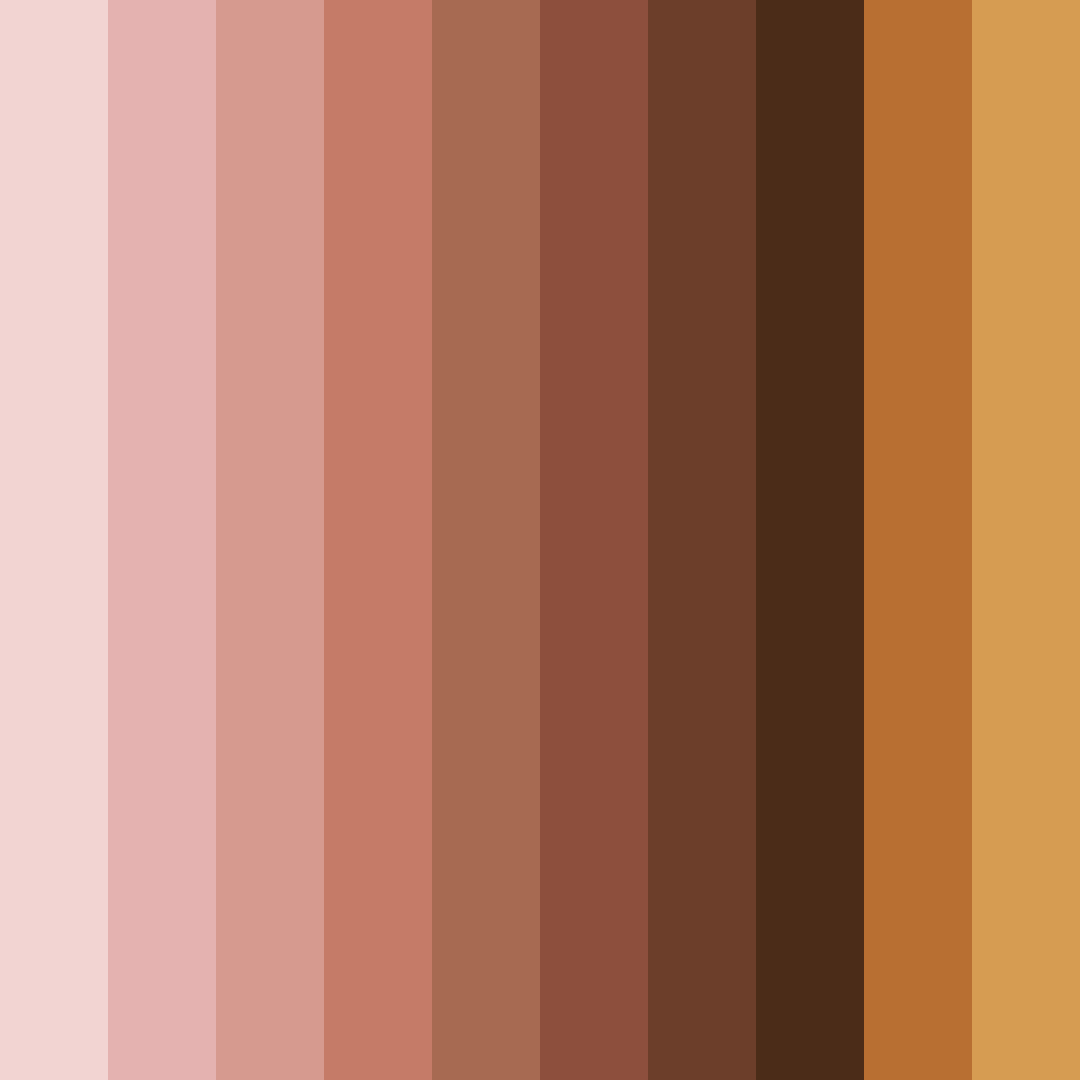 Download dusty rose and earthy tones color palette PNG image (square)