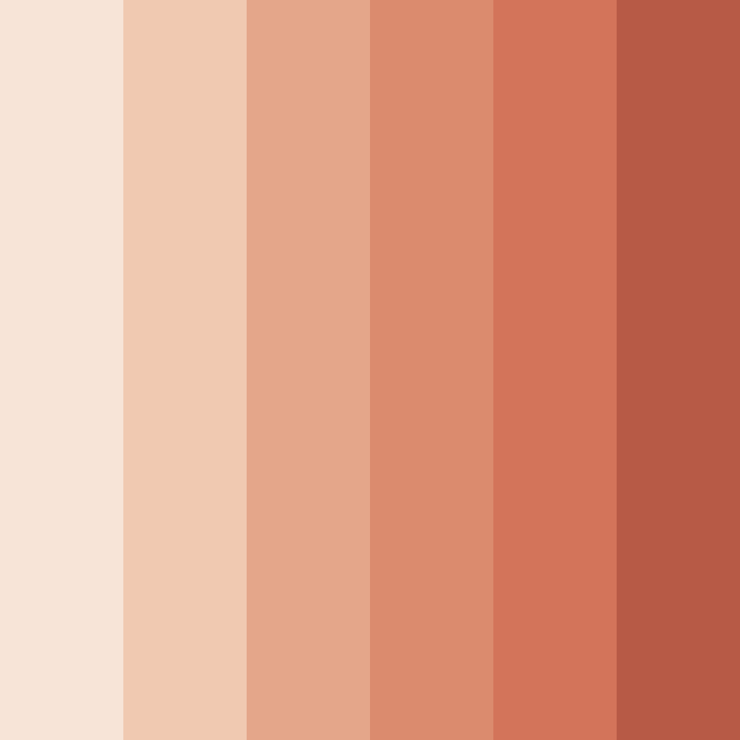 Download sunset blush color palette PNG image (square)