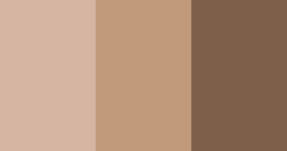 Download sandy hearth color palette PNG image (landscape)