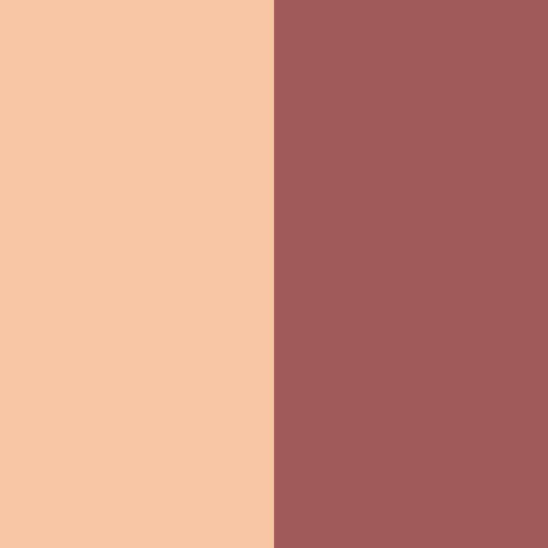 Download contrast peach color palette PNG image (square)