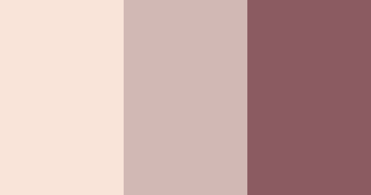Download muted rose color palette PNG image (landscape)