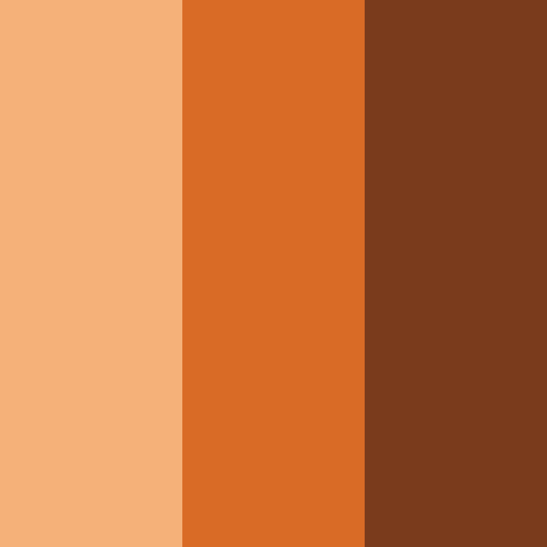 Download orange spice color palette PNG image (square)