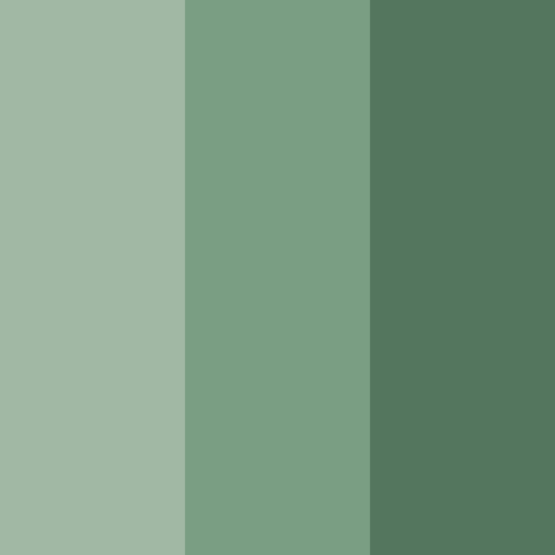 Download mossy serenity color palette PNG image (square)
