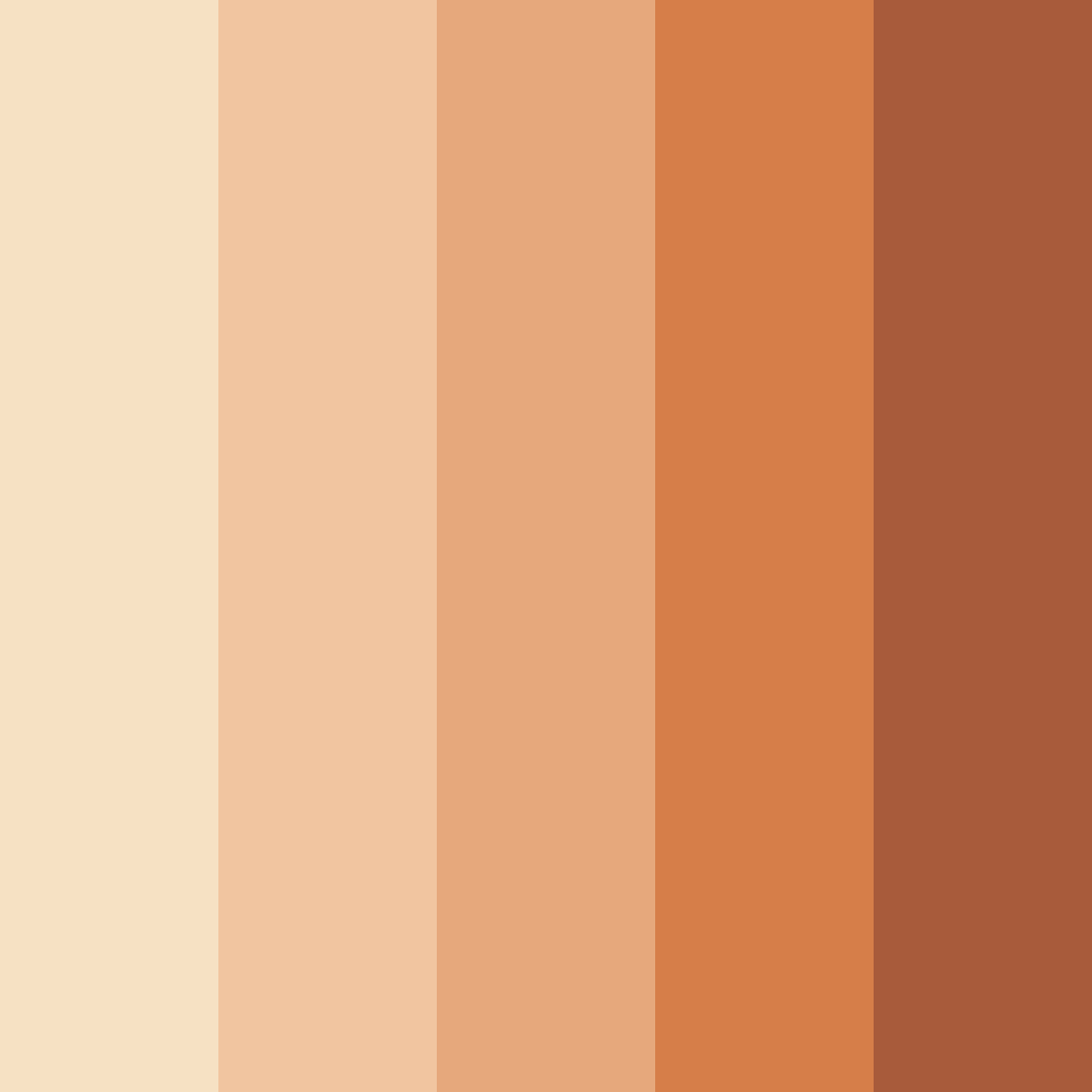 Download warm peach color palette PNG image (square)