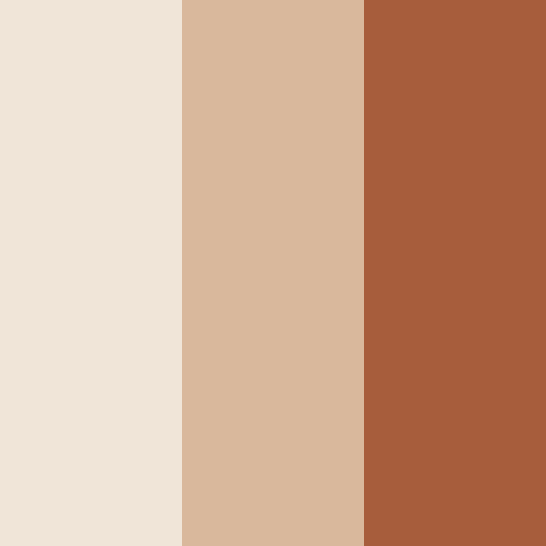 Download sandy sunset color palette PNG image (square)