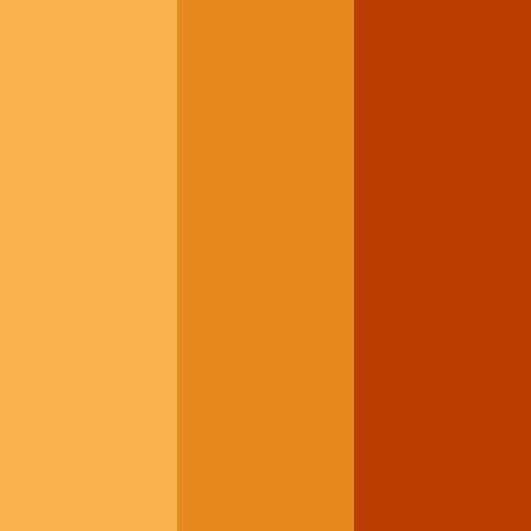 Download burnt orange color palette PNG image (square)