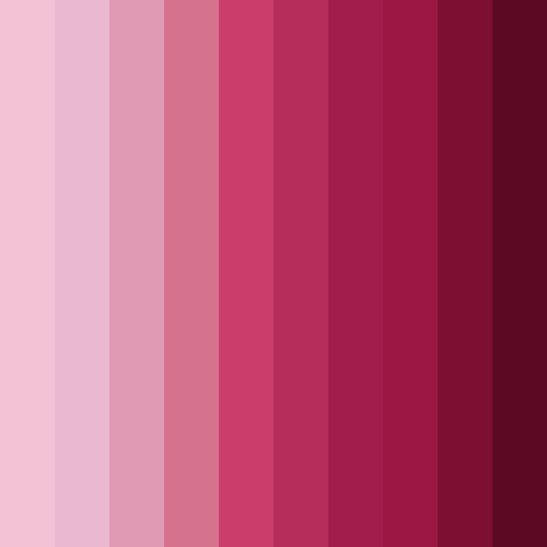 Download dark pink delight color palette PNG image (square)