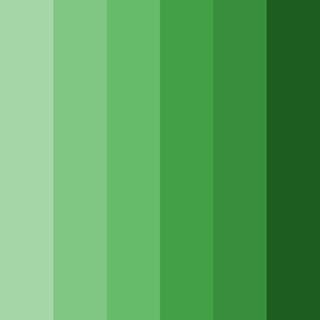 Download emerald forest serenity color palette PNG image (square)