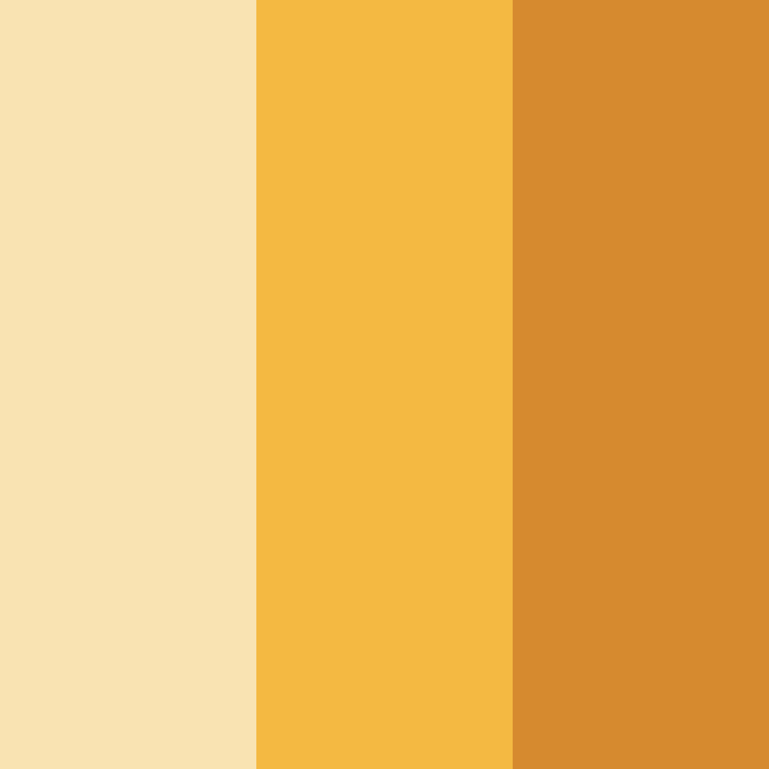 Download sunlit harvest color palette PNG image (square)